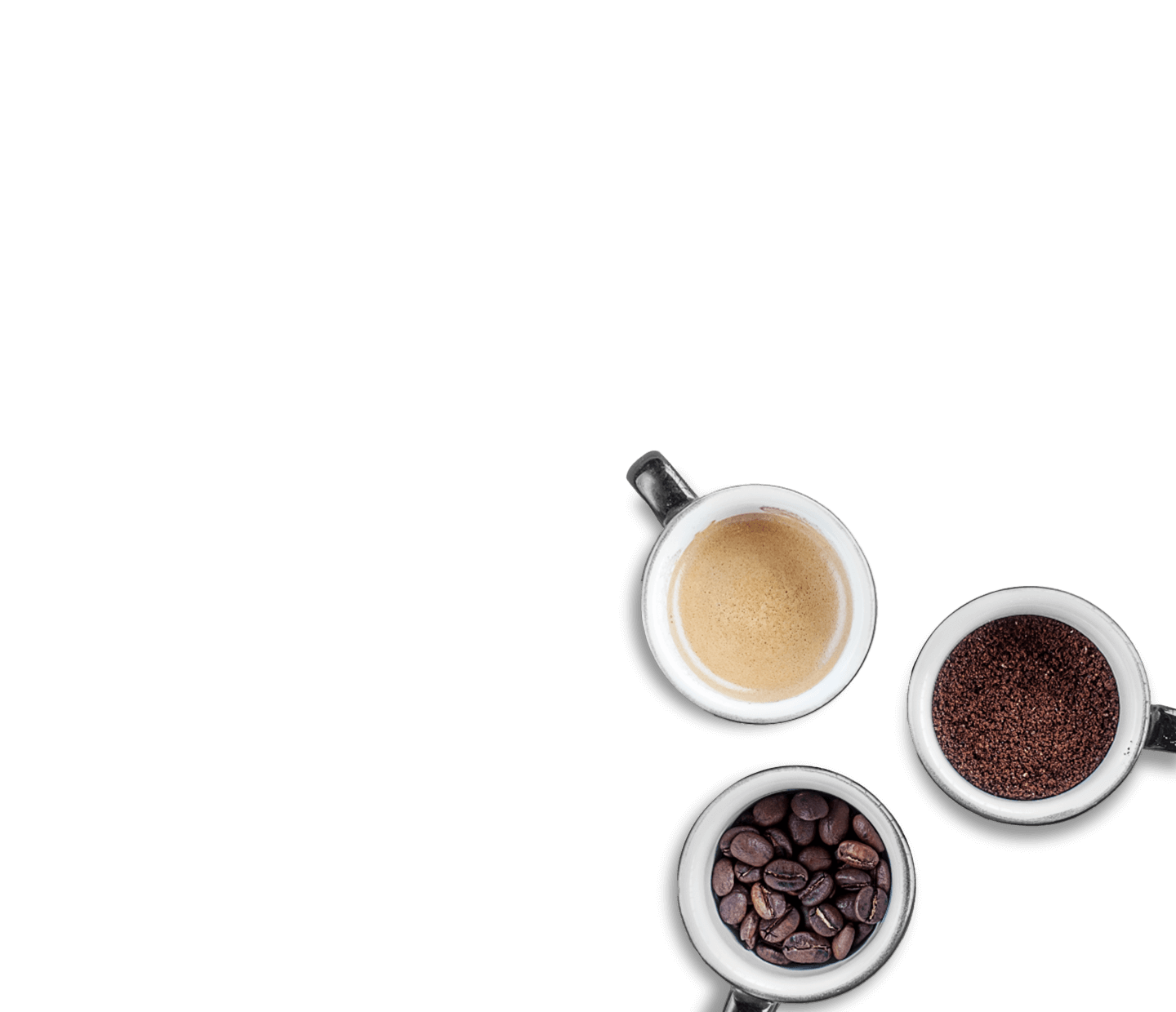 コーヒーテイスティングの世界
