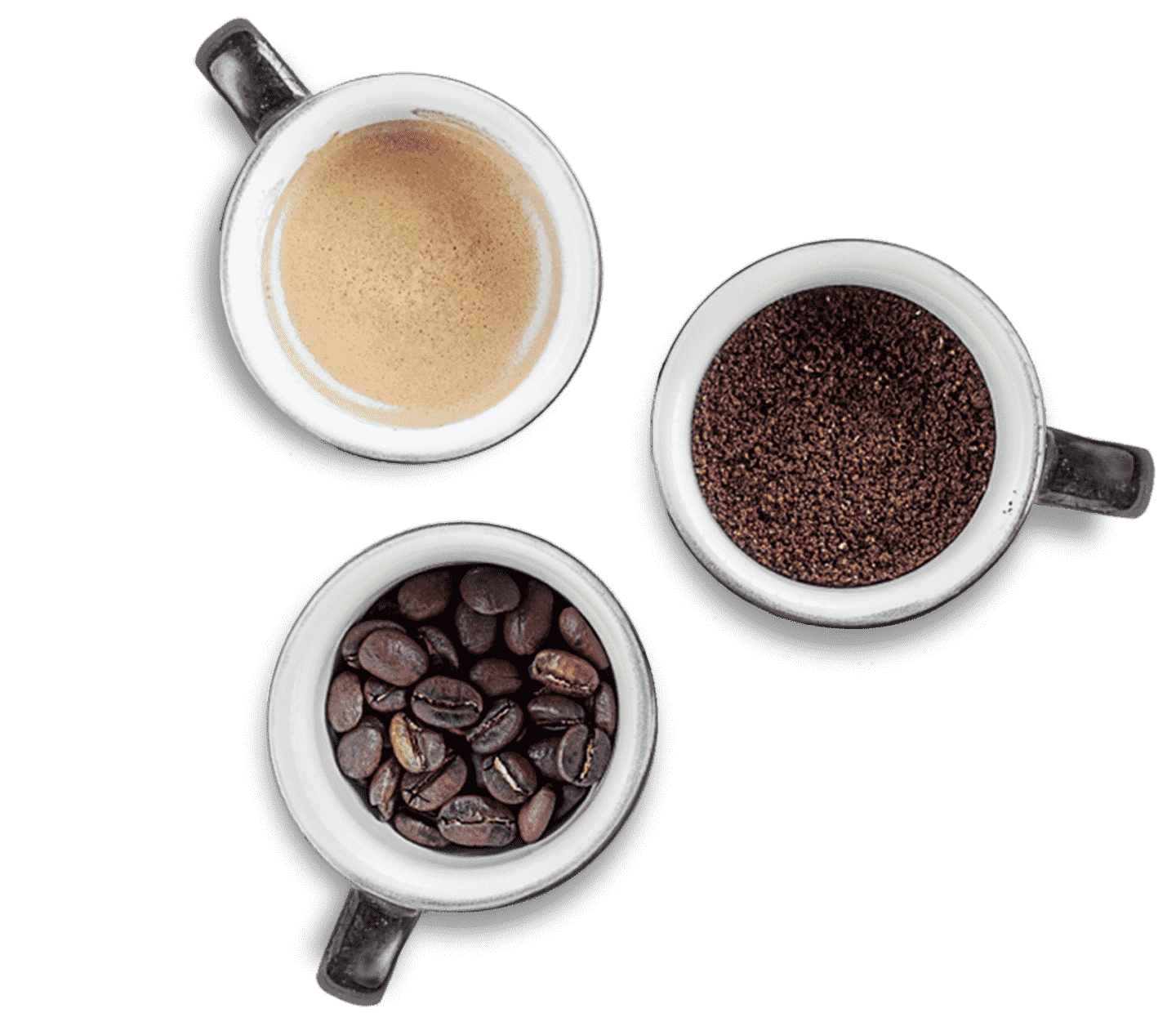 コーヒーテイスティング