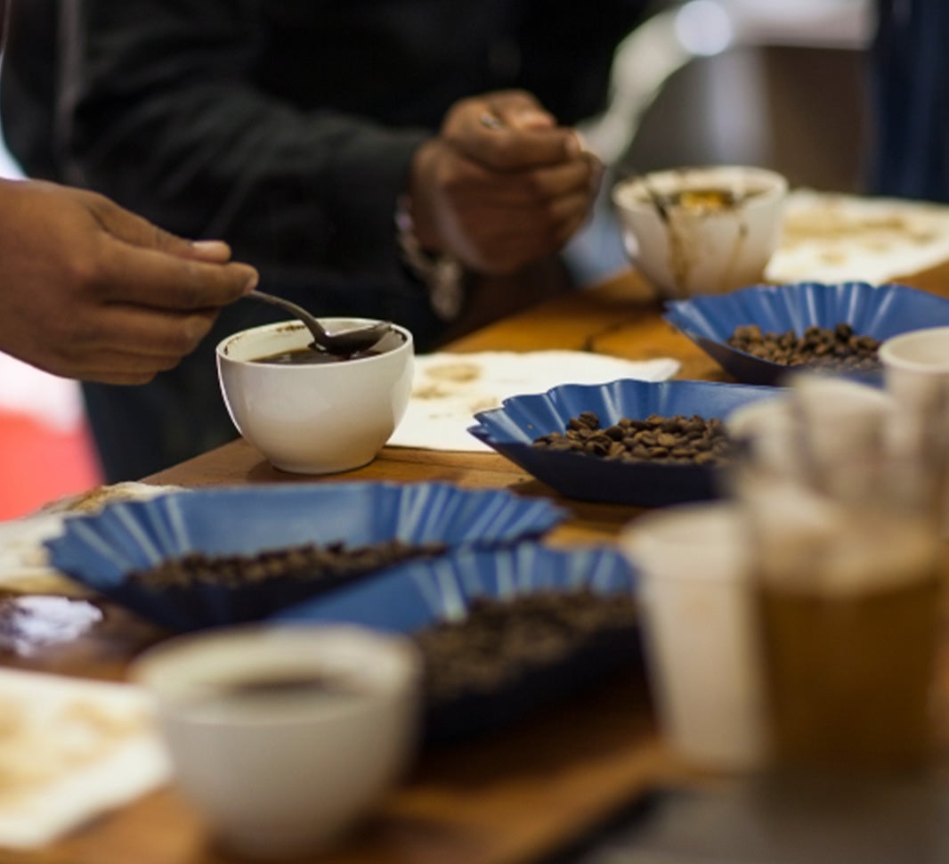 professional coffee tasters