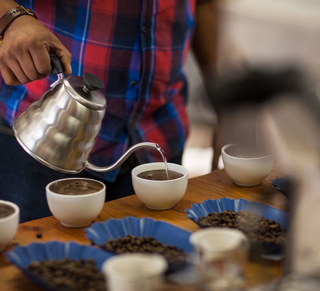 becoming a coffee taster