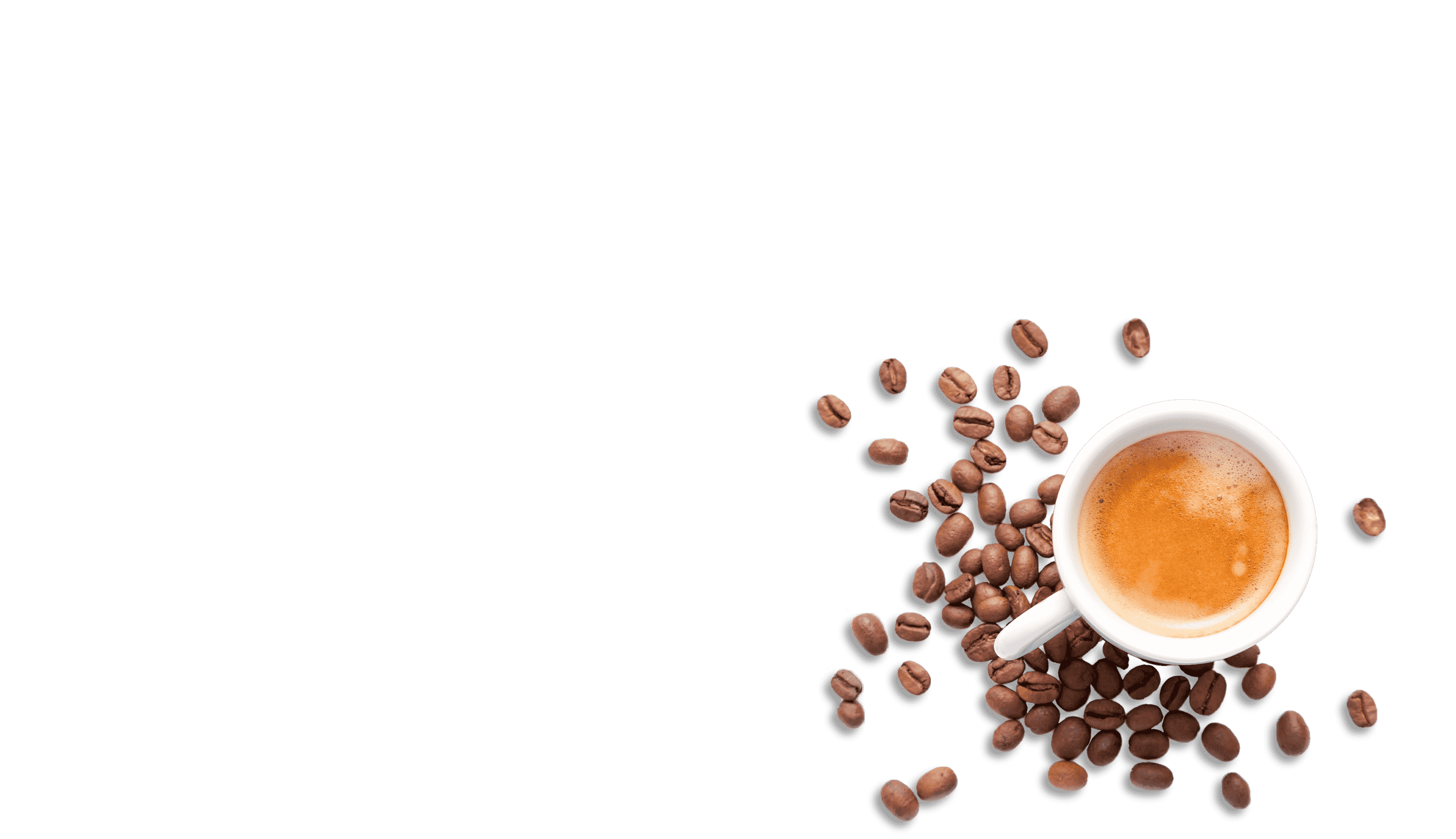 コーヒーの種類