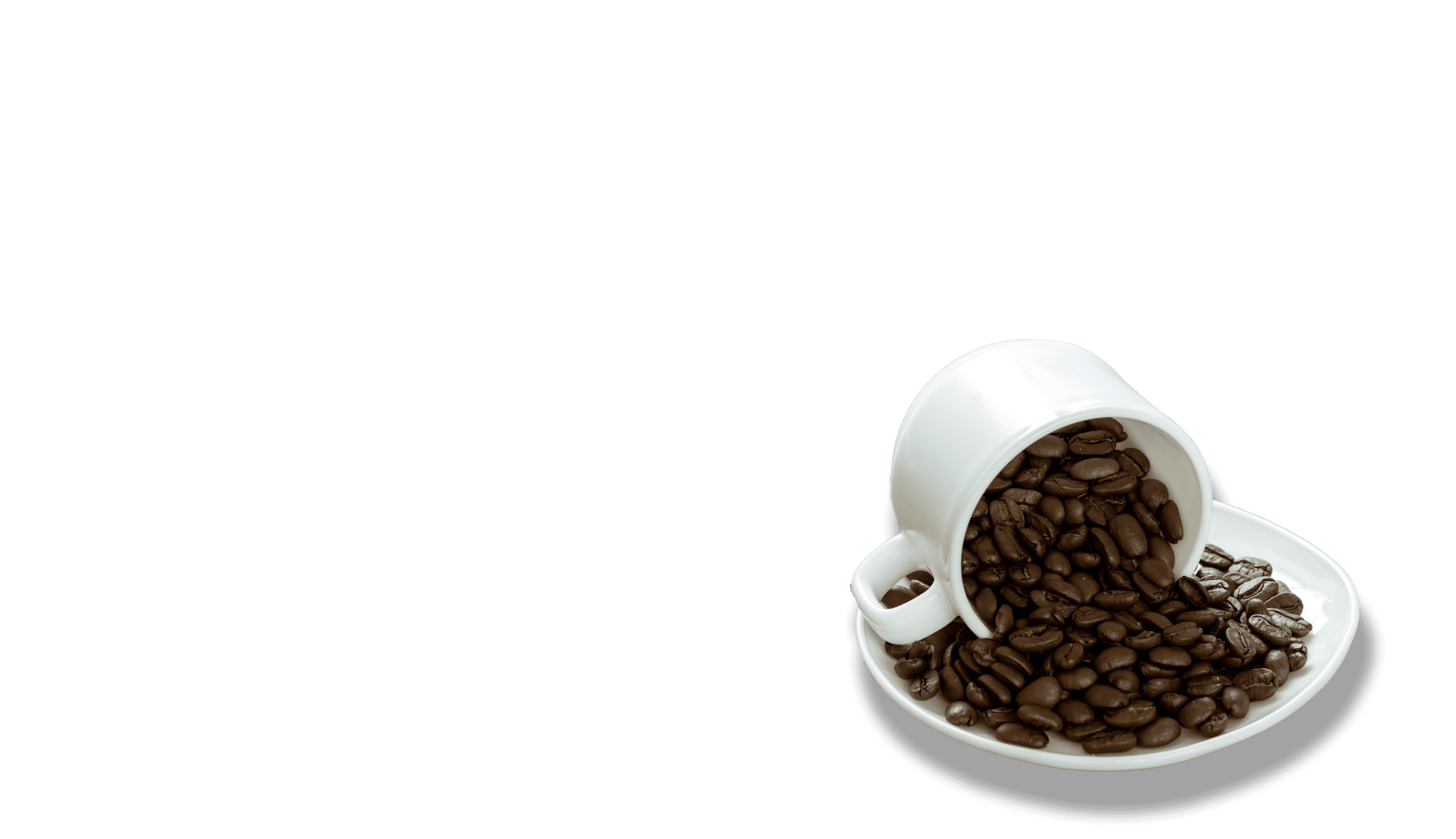 コーヒーカップガイド