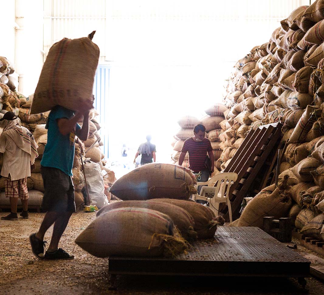 best single origin coffee