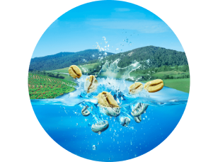 おいしさのひみつ