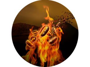 おいしさのひみつ