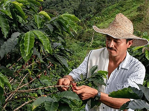 2025年までに、100％(※)責任ある調達（日本はすでに達成済み）、また再生農業を通じたコーヒー豆20％調達