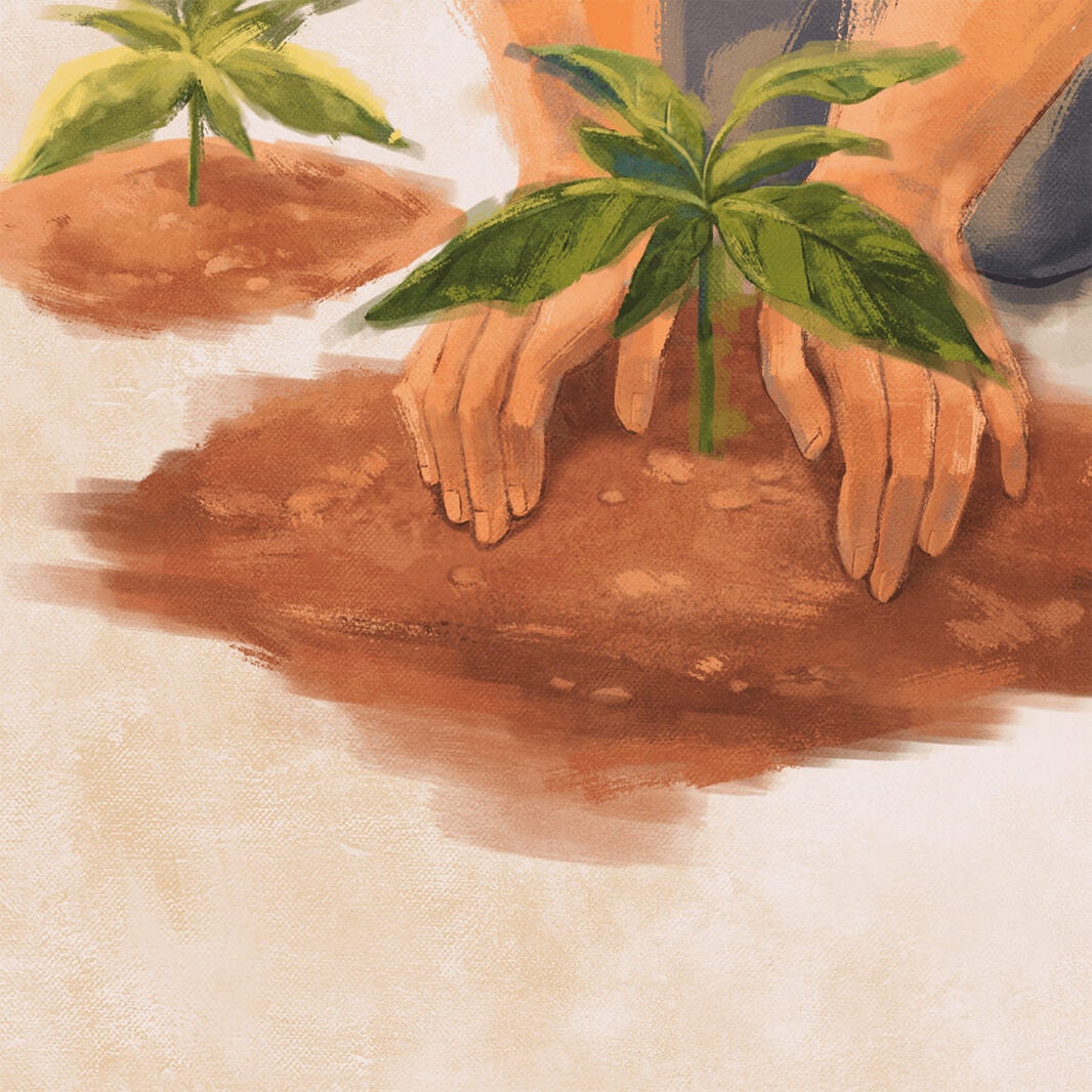 人、地球、そしてコーヒーのためのアグロフォレストリー