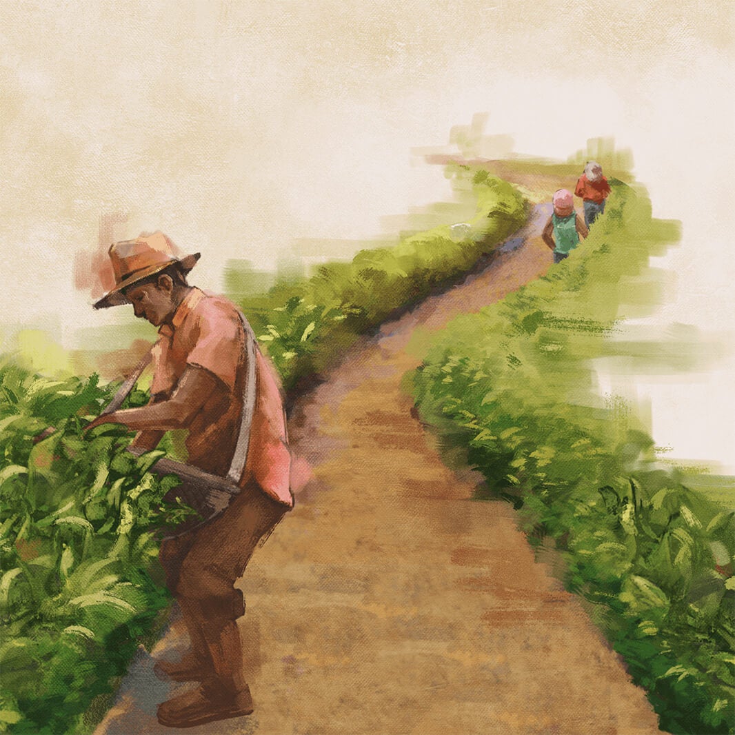 新しいアプローチの試験的実践