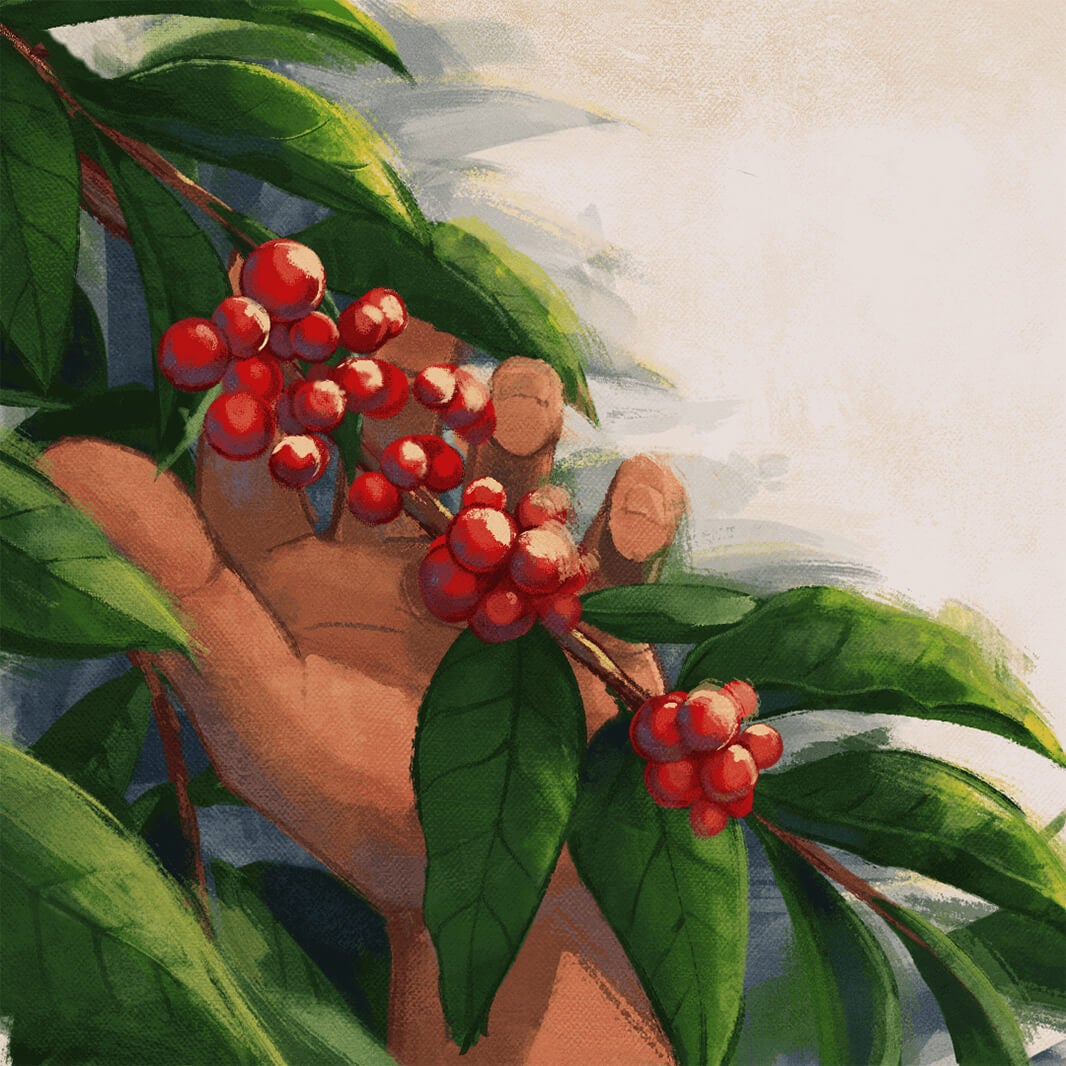 生産者と環境を、守れる調達を。