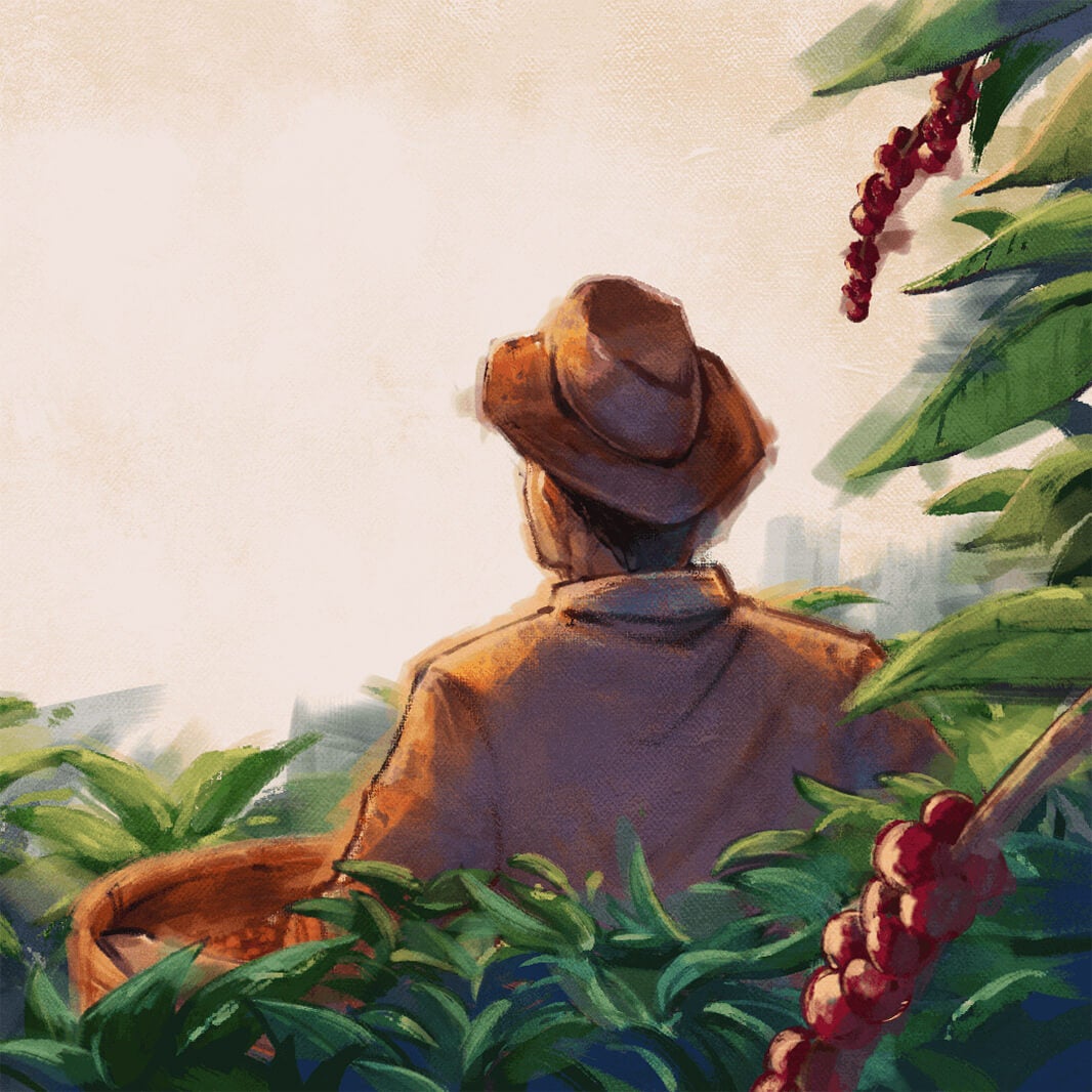 再生農業の枠組みの導入