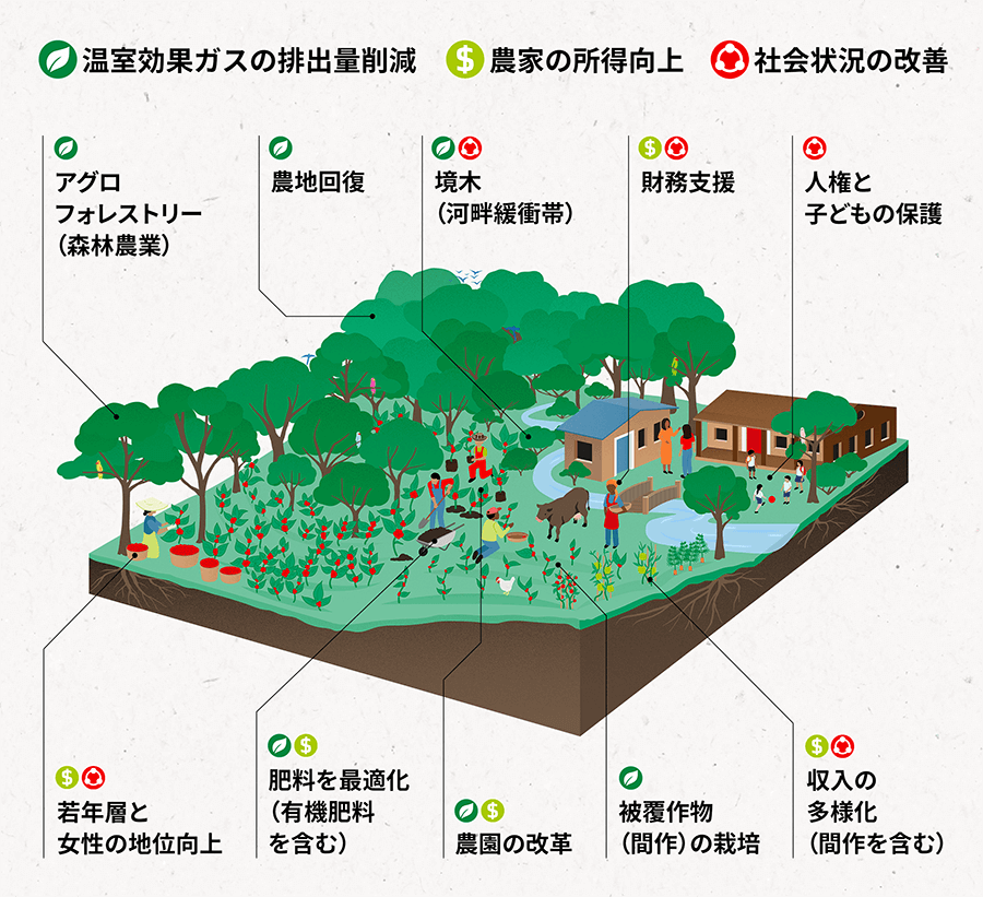 「ネスカフェ プラン2030」のさまざまなアクション