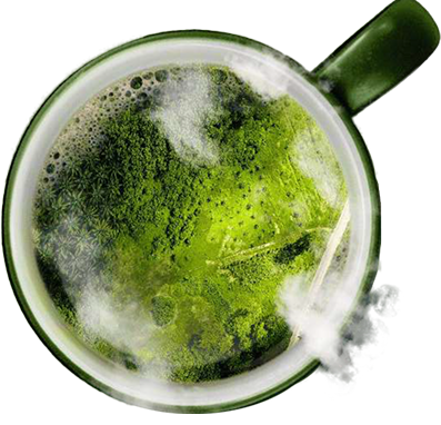 ネスカフェが責任を持って調達したコーヒー