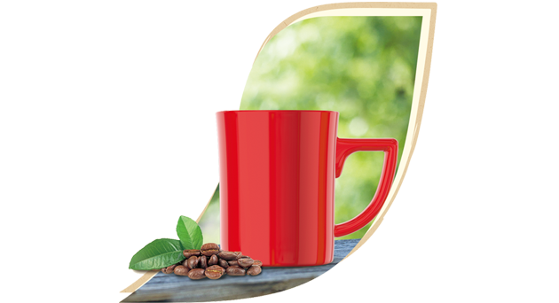 ネスカフェの持続可能性