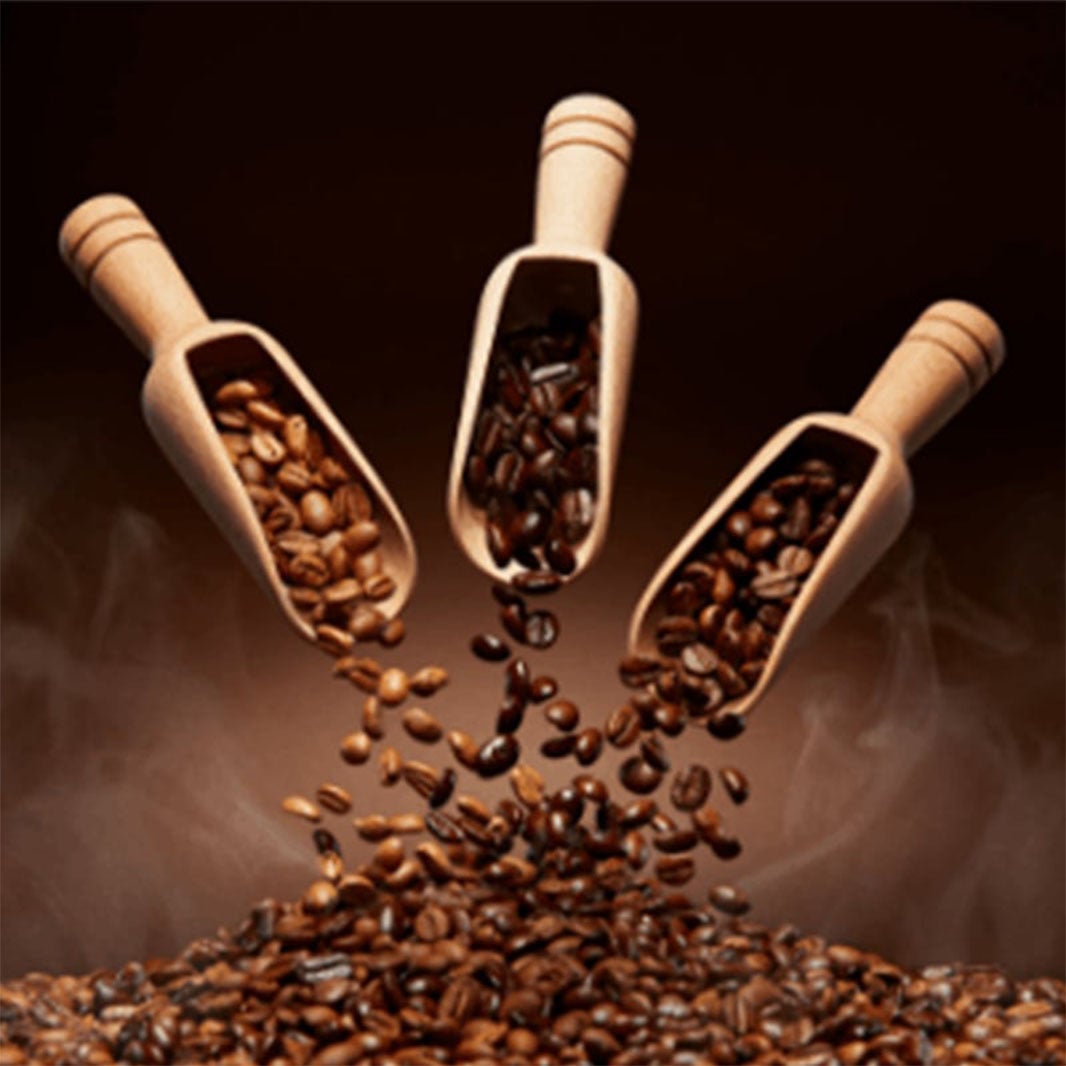 NESCAFE Excella インスタントコーヒー 170g×12本セット NESCAFE Excella インスタントコーヒー 170g×12本セット ネスレ