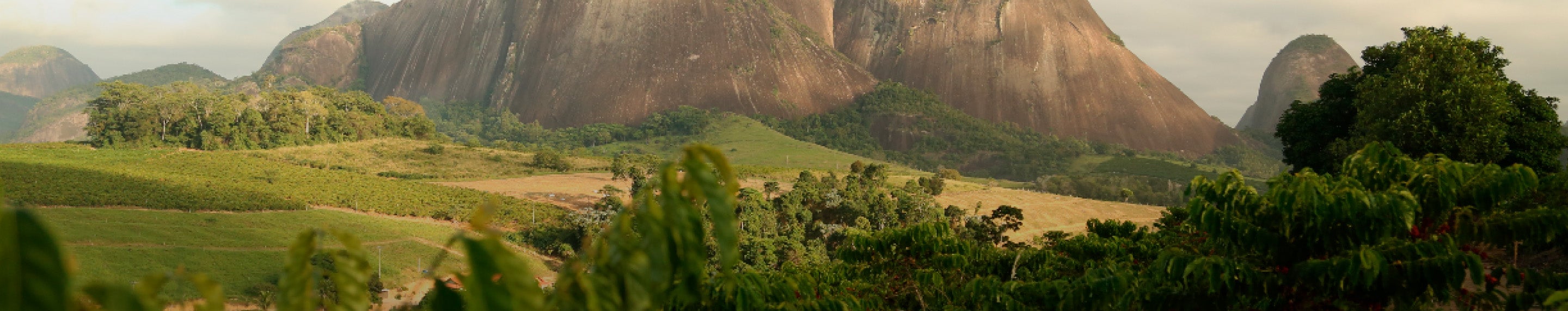 コーヒーの文化を知る