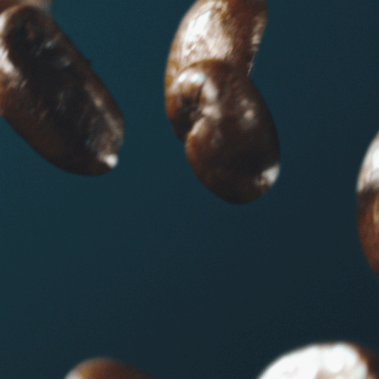 1. 厳選された豆