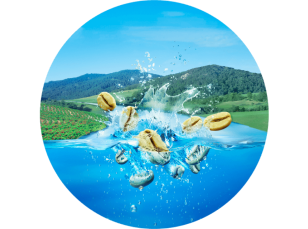 自然な水の力で、カフェインを97%除去。