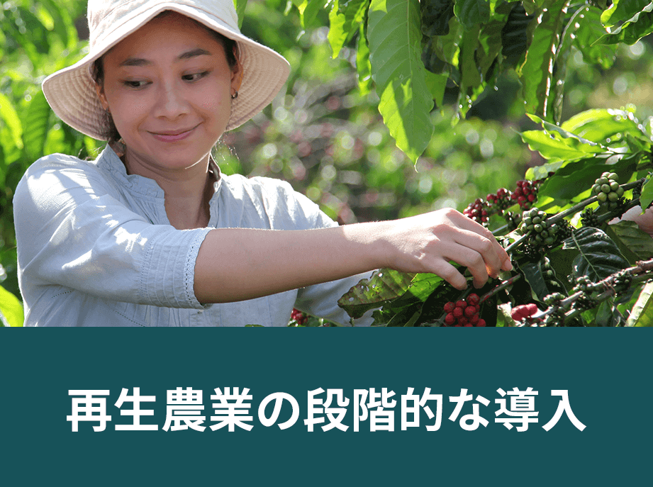 再生農業の段階的な導入