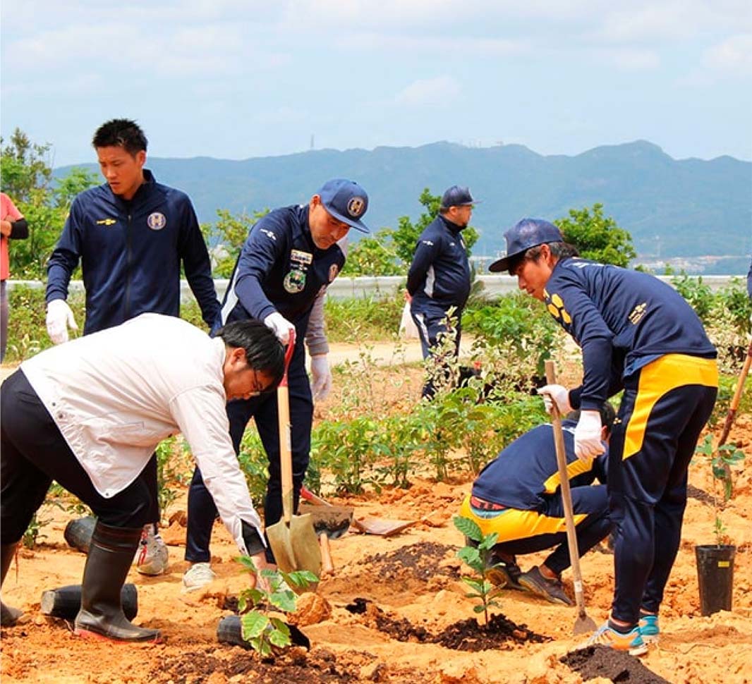 Let's talk Coffee! 『ネスカフェ 沖縄コーヒープロジェクト』について