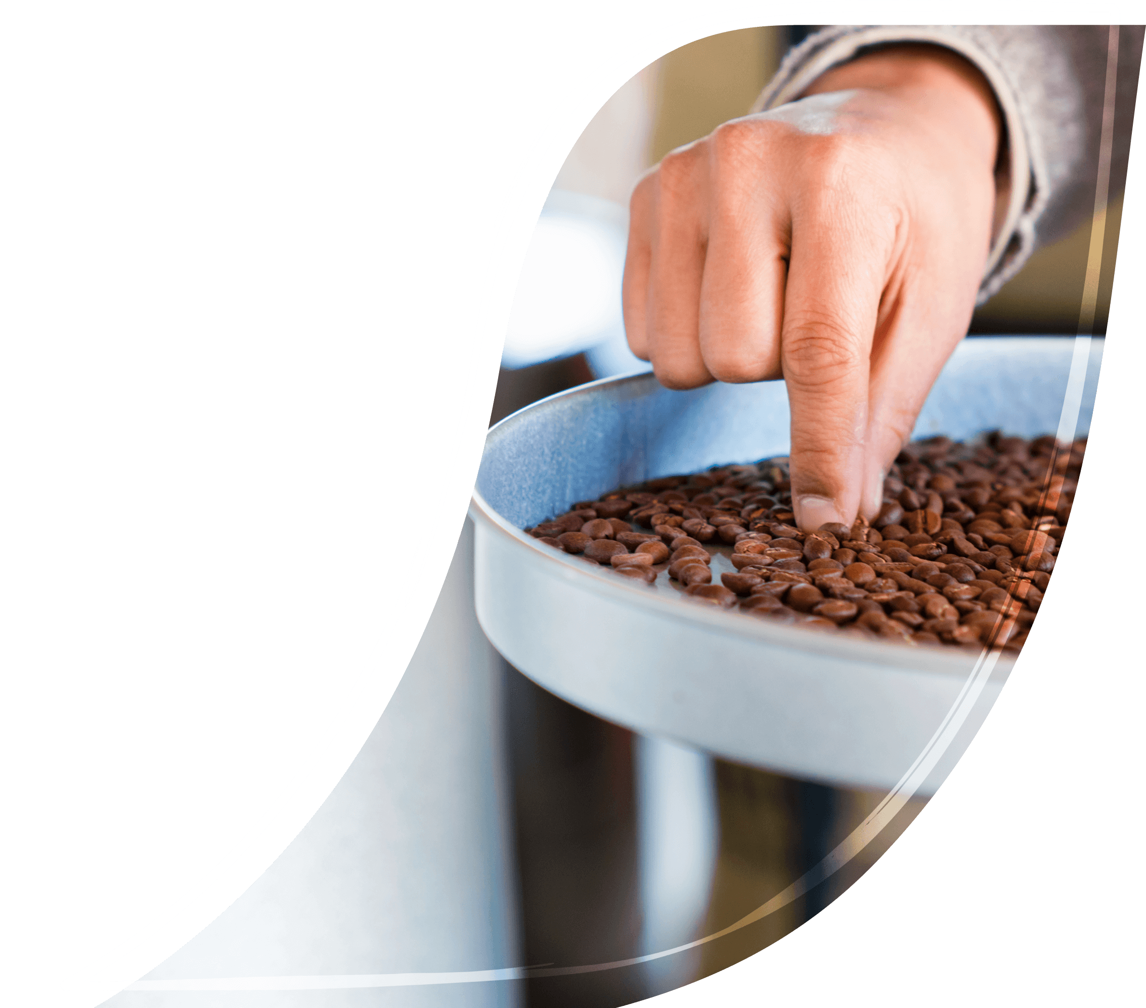 コーヒー 知識