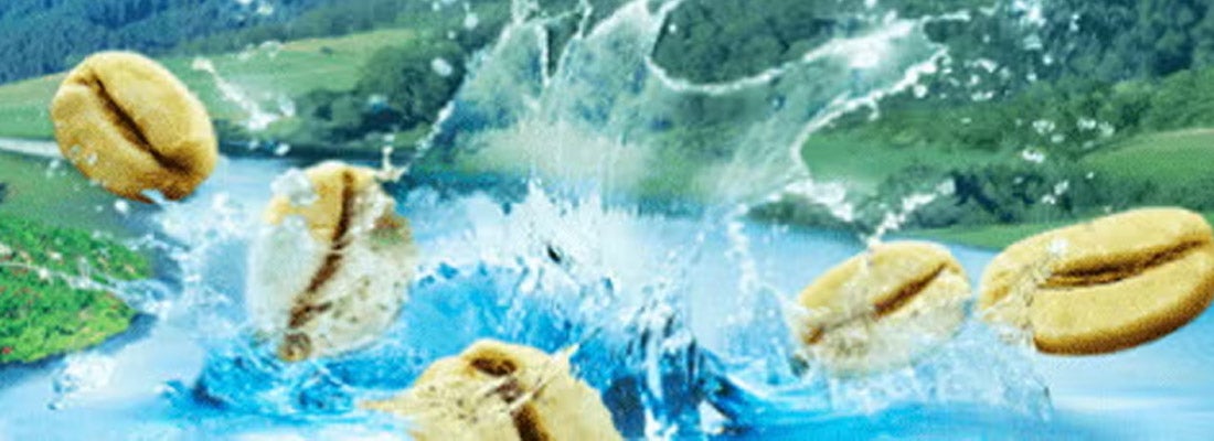 カフェインレスコーヒー(デカフェ)