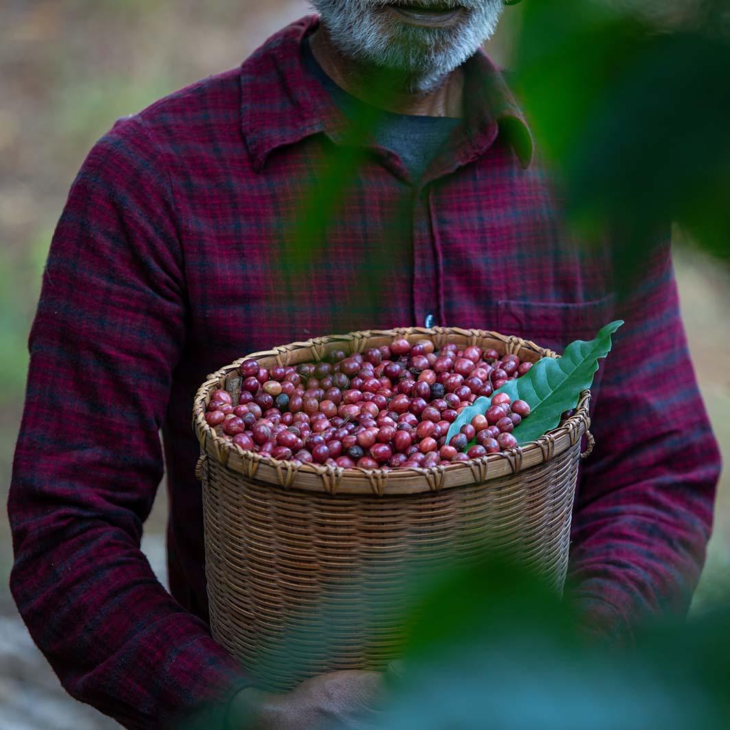 クラフトコーヒーとは？