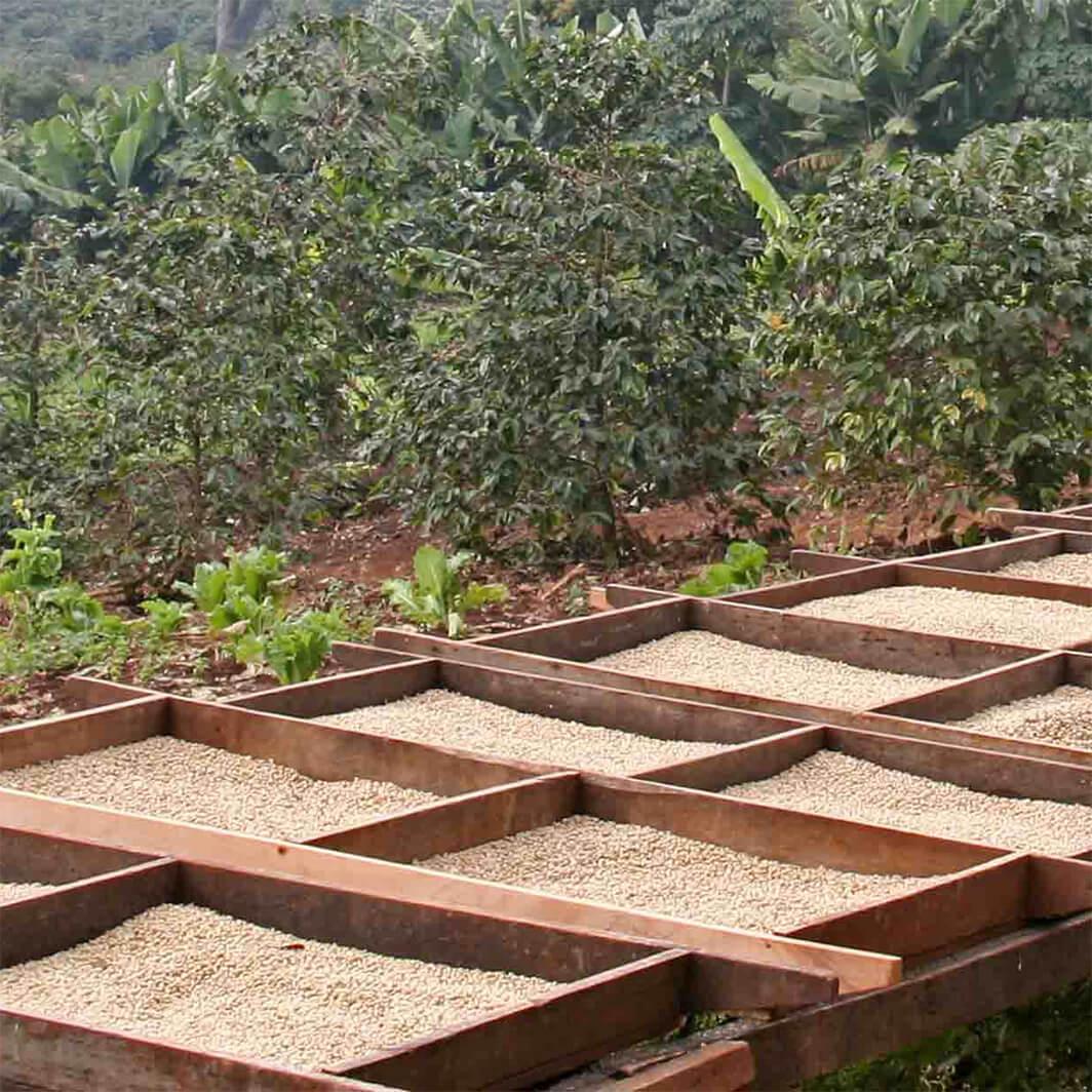 好みの焙煎度を見つけよう