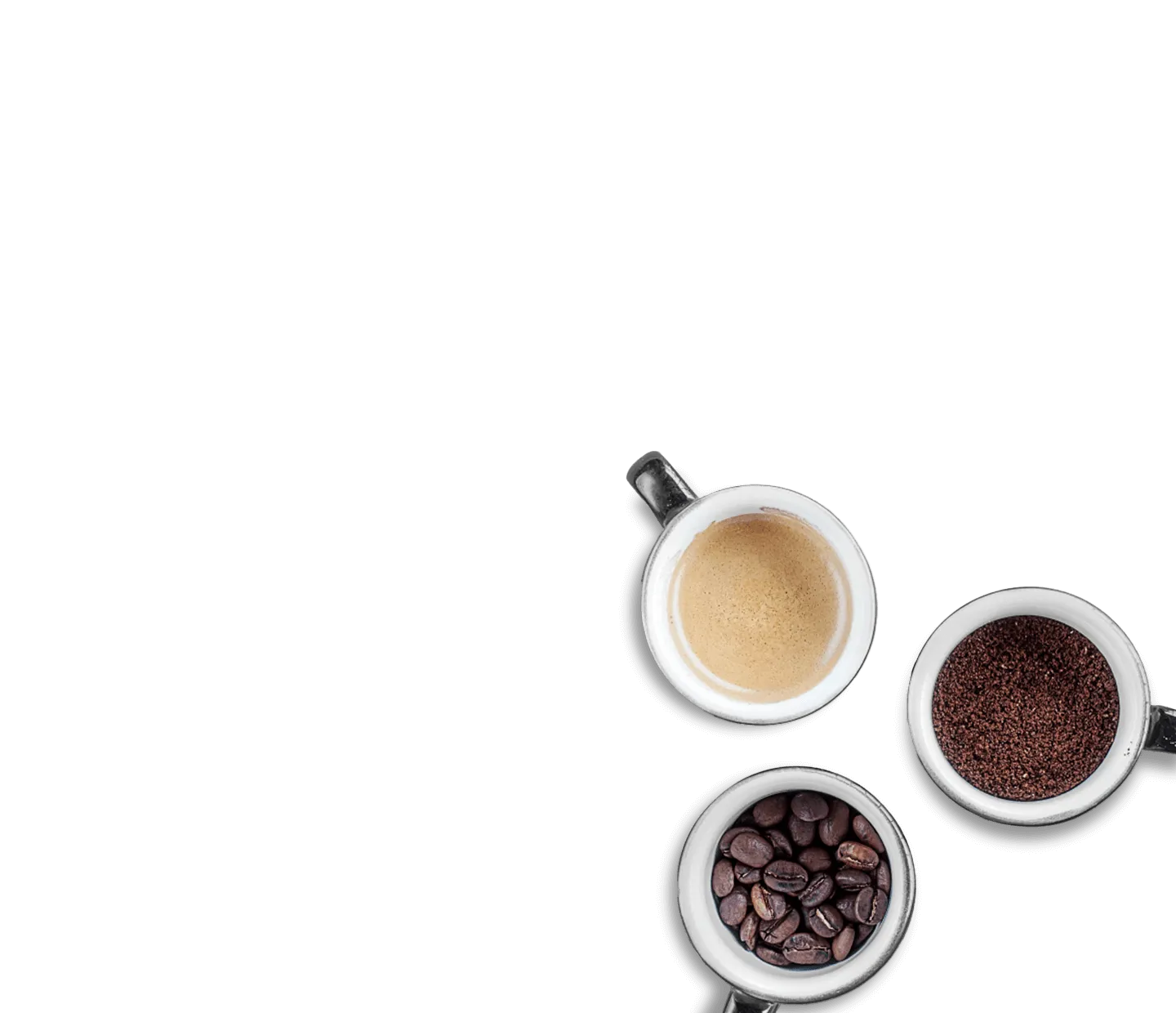 コーヒーテイスティングの世界