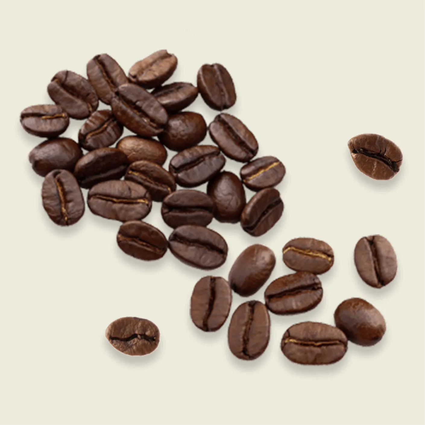 ワンポイント「バリスタ」ムービーギャラリー