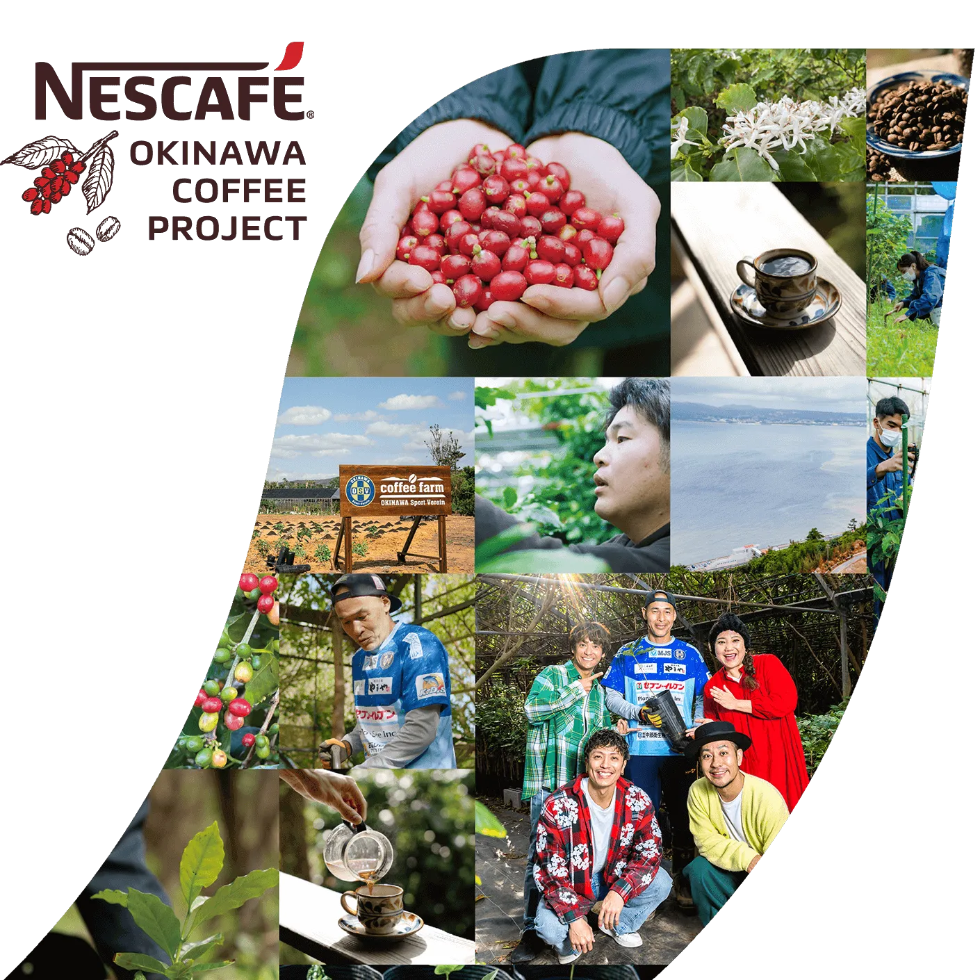 ネスカフェ 沖縄コーヒー プロジェクト
