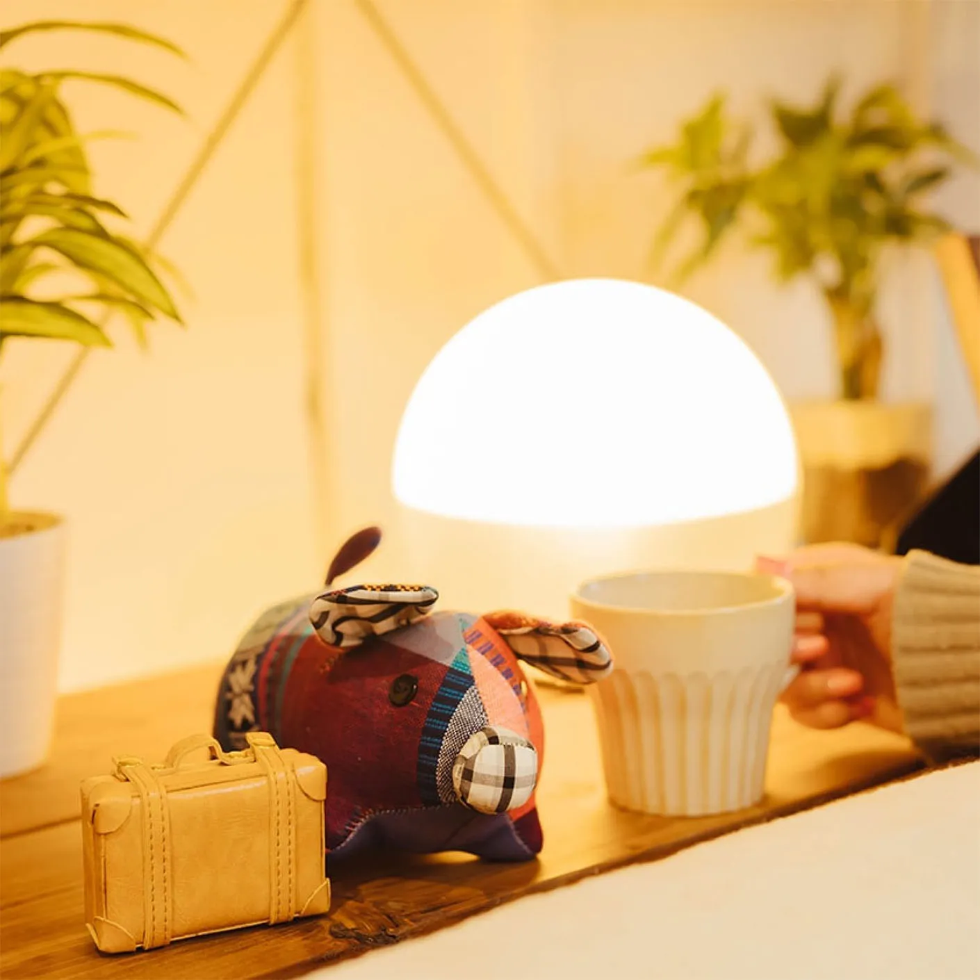 あの人の“わたし時間レシピ” vol.19 旅行インスタグラマー トンちゃんさん