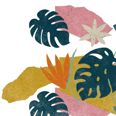 植物のイラスト