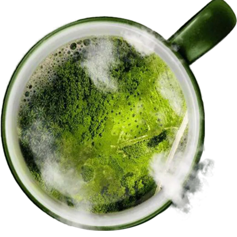 ネスカフェが責任を持って調達したコーヒー